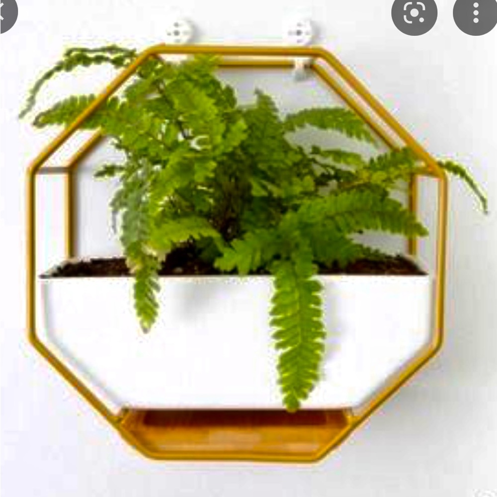 Hanging planter